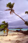 Cook Islands_287-73-21