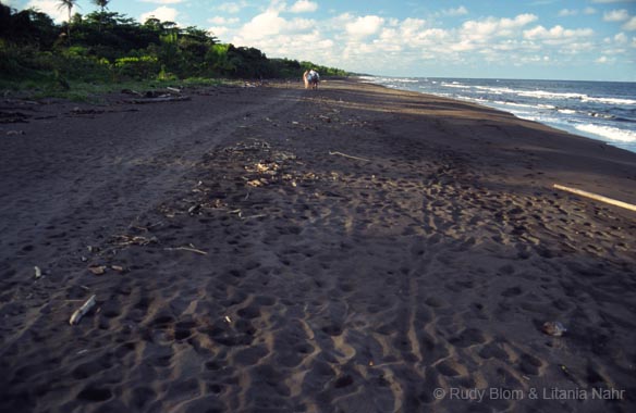 Costa Rica_396-05