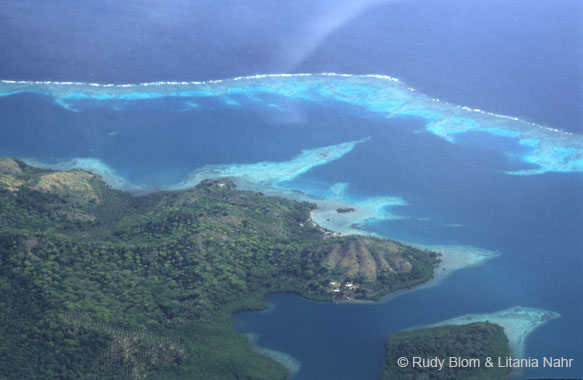 Fiji_375-107-34