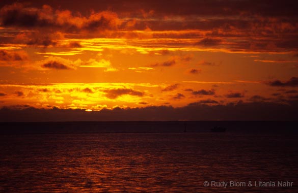 French Polynesia_280-69-16