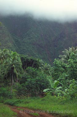 French Polynesia_282-70-17