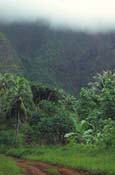 French Polynesia_282-70-17