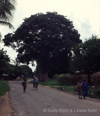 Gambia_Senegal_216-43-21 (214)