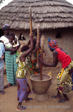 Gambia_Senegal_221-46-06