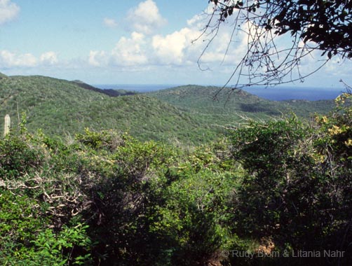 Curaçao_1992_147-31-47