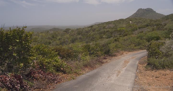 Curaçao_2005_DSC_6563