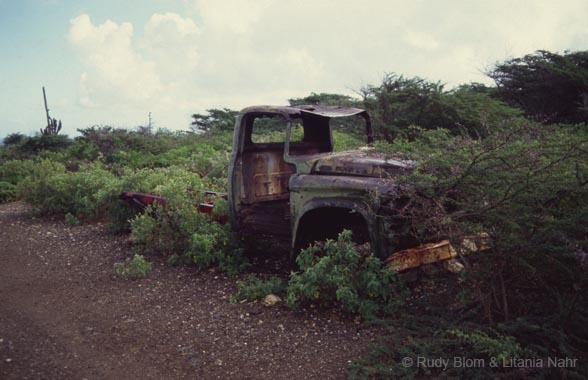 Curaçao_1992_143-29-28