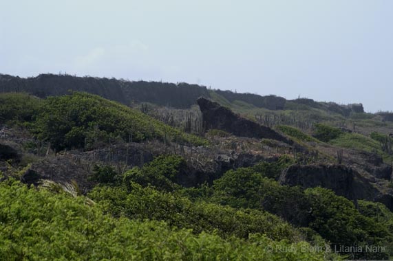 Curaçao_2005_DSC_5953